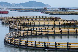 CHINA-FUJIAN-MARICULTURA