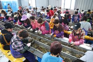 CHINA-FUJIAN-MARICULTURA