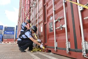 CHINA-TIFON DOLPHIN-PREVENCION-MEDIDAS