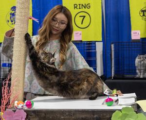 CANADA-ONTARIO-MISSISSAUGA-EXPOSICION CANADIENSE DE MASCOTAS DE PRIMAVERA