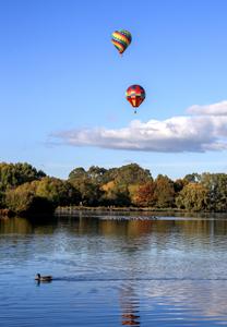 NUEVA ZELANDA-MASTERTON-FESTIVAL DE GLOBOS DE WAIRARAPA