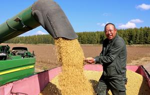 CHINA-HEILONGJIANG-OTOÑO-COSECHA