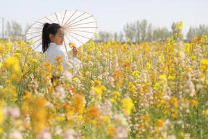 CHINA-FERIADO DEL FESTIVAL QINGMING-TURISMO