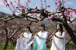 CHINA-SHAANXI-XI'AN-PRIMAVERA-FLORES DE DURAZNO