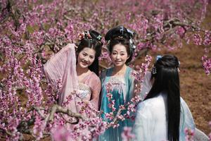 CHINA-SHAANXI-XI'AN-PRIMAVERA-FLORES DE DURAZNO
