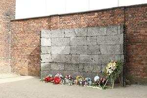 POLONIA-OSWIECIM-AUSCHWITZ-CAMPAMENTO DE CONCENTRACION