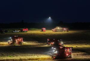 CHINA-ANHUI-COSECHA DE TRIGO-ILUMINACION CON DRONES