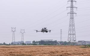 CHINA-ANHUI-FUYANG-GRANJA INTELIGENTE-COSECHA DE TRIGO