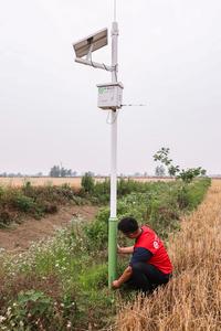 CHINA-ANHUI-FUYANG-GRANJA INTELIGENTE-COSECHA DE TRIGO