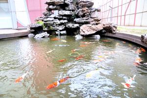 CHINA-JIANGXI-JIUJIANG-ECONOMIA CIRCULAR