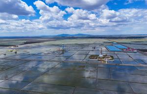 CHINA-HEILONGJIANG-AGRICULTURA