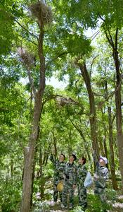 CHINA-BEIJING-EMBALSE DE MIYUN-AVES