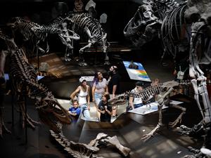 EEUU-CALIFORNIA-LOS ANGELES-DINO FEST