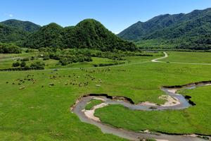 CHINA-HUBEI-SHENNONGJIA-LAGO DAJIU-PAISAJE