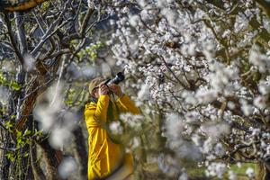 CHINA-PRIMAVERA-FLORES