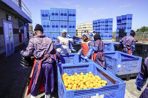 SUDAFRICA-GQEBERHA-COMERCIO-EXPORTADORES