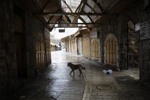 MEDIO ORIENTE-CISJORDANIA-HEBRON-HUELGA