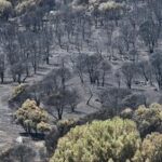 ESPAÑA-MADRID-INCENDIOS FORESTALES