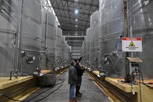 CHILE-TALCA-CII-INDUSTRIA VITIVINICOLA