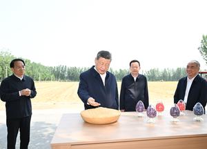 CHINA-SHANDONG-DEZHOU-XI JINPING-INSPECCION