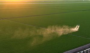 CHINA-HEILONGJIANG-AGRICULTURA