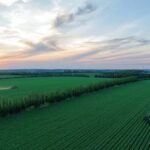 CHINA-HEILONGJIANG-AGRICULTURA