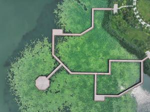 CHINA-HEBEI-XIONG'AN-RESTAURACION ECOLOGICA