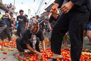 INDONESIA-JAVA OCCIDENTAL-GUERRA TRADICIONAL DE TOMATES
