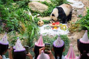 CHINA-MACAO-GEMELOS DE PANDA GIGANTE-CUMPLEAÑOS