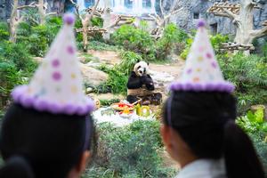CHINA-MACAO-GEMELOS DE PANDA GIGANTE-CUMPLEAÑOS