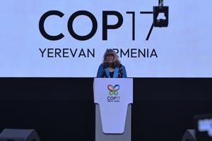 armenia-erevan-cop17-inauguracion-101002026101975000019