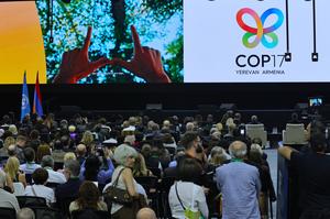 armenia-erevan-cop17-inauguracion-101002026101975000024