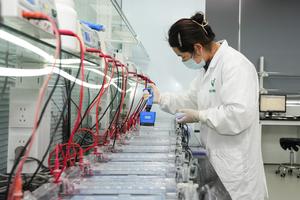 china-anhui-hefei-agricultura-industria-de-las-sem-101002026101475000297