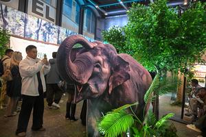 china-beijing-the-elephant-odyssey-estreno-101002026102175000474
