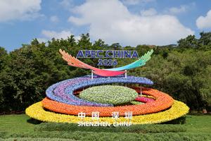 china-guangdong-shenzhen-apec-decoracion-de-flores-101002026101775000067