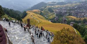 china-guangxi-longsheng-campos-en-terrazas-paisaje-101002026101575000316
