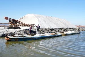 china-hebei-tangshan-sal-cosecha-101002026102875000246