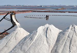 china-hebei-tangshan-sal-cosecha-101002026102875000266