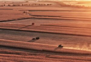 china-heilongjiang-cultivos-cosecha-101002026101375000147