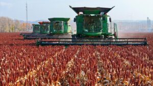china-heilongjiang-cultivos-cosecha-101002026101375000151