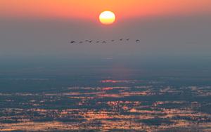 china-heilongjiang-fujin-aves-migratorias-101002026101775000063