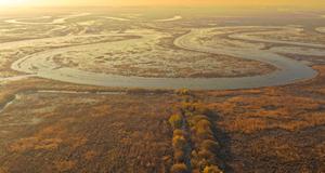 china-heilongjiang-fujin-aves-migratorias-101002026101775000065