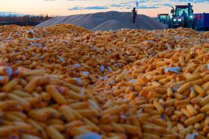 china-heilongjiang-otono-cosecha-101002026101575000162