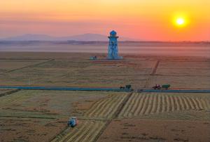 china-heilongjiang-temporada-de-cosecha-101002026101675000202