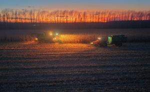 china-heilongjiang-temporada-de-cosecha-101002026101675000208