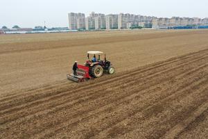 china-henan-trigo-siembra-101002026102375000371