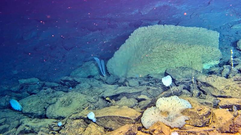 china-jiaolong-investigacion-cientifica-en-aguas-p-101002026101375000350