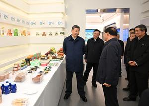 china-mongolia-interior-ulanqab-xi-jinping-inspecc-101002026101675000131