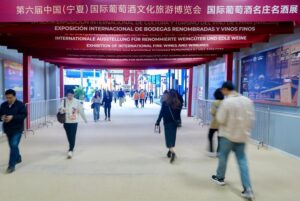 china-ningxia-yinchuan-cultura-del-vino-turismo-ex-101002026101375000340