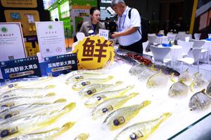 china-shandong-qingdao-exposicion-de-pesca-y-produ-101002026102875000162